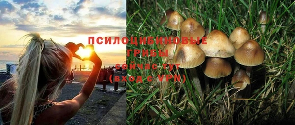 кокс Армянск